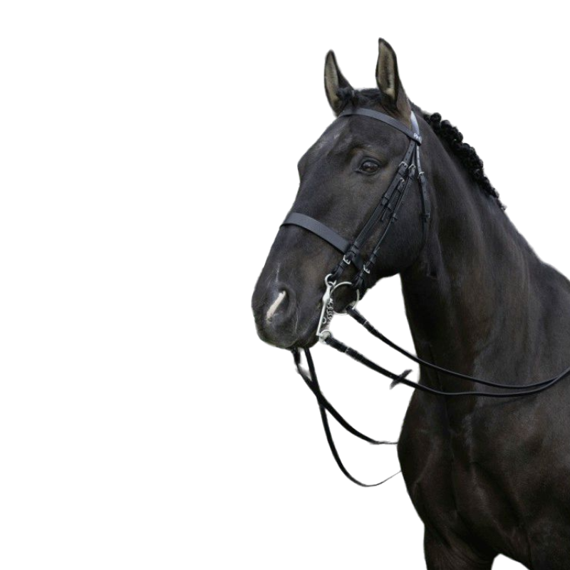 Riding World - Testiera da dressage nera con redini | - Ohlala