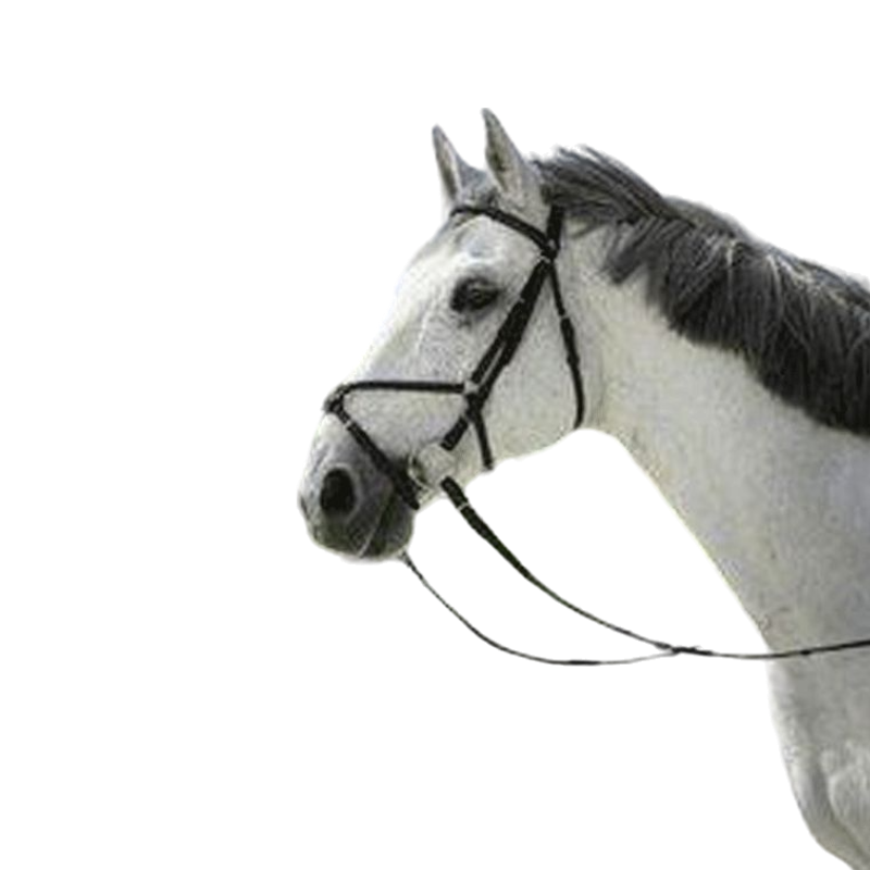 Riding World - Wędzidłówka z noskową krzyżową z wodzami | - Ohlala