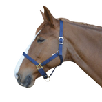 Riding World - Nylon halter navy | - Ohlala