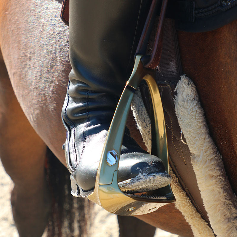 Samshield - Staffe Shield'rup champagne spazzolato | - Ohlala