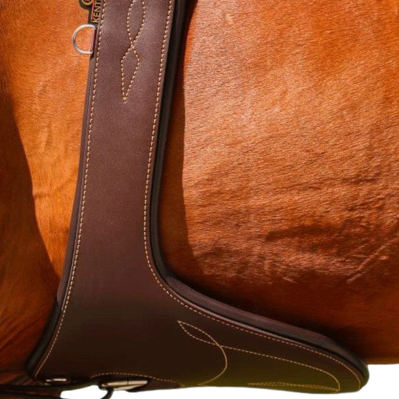 Kentucky Horsewear - Sangle bavette marron | - Ohlala