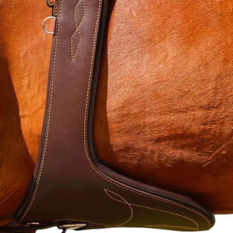 Kentucky Horsewear - Zwarte buikgordel | - Ohlala