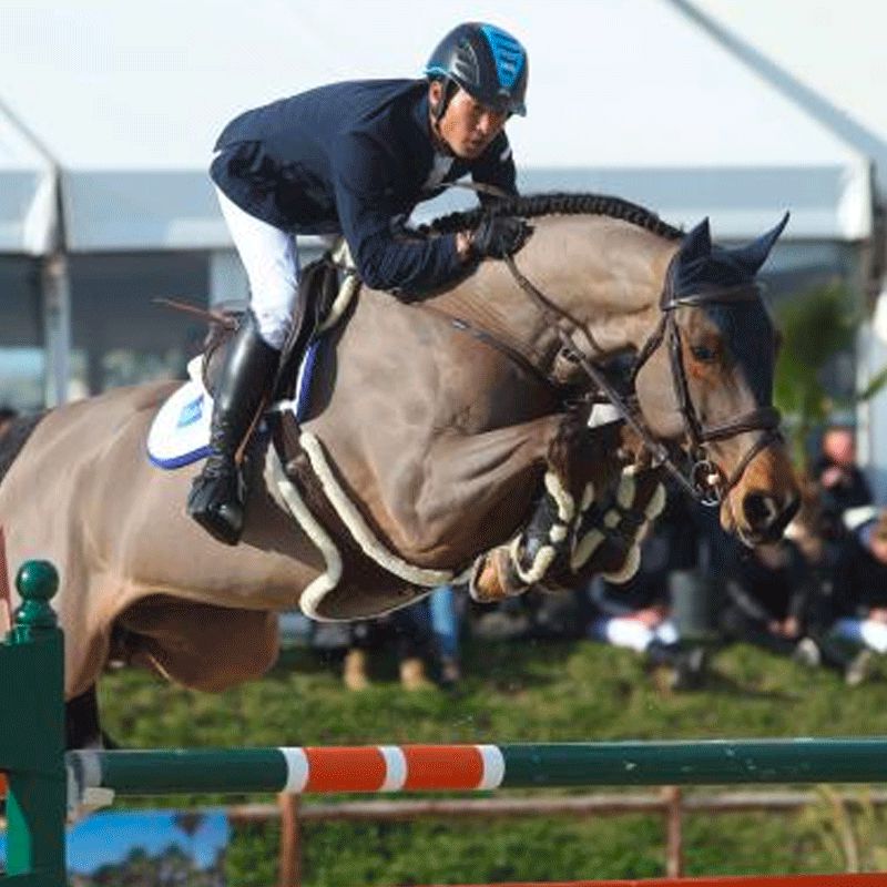 Kentucky Horsewear - Sattelgurt mit Lammfell-Schutzlatz braun | - Ohlala