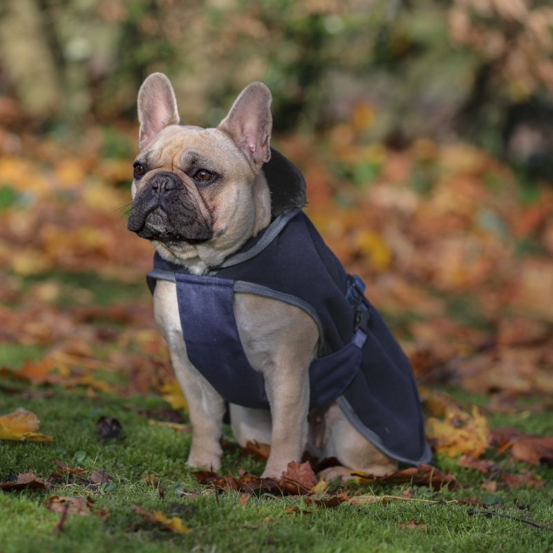 Bucas - Show-Line Dog Blanket Navy/ Grey