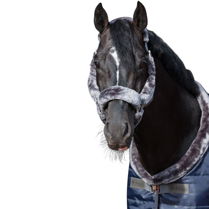 Bucas - Show-Line Full Fur Halter Navy/ Grey