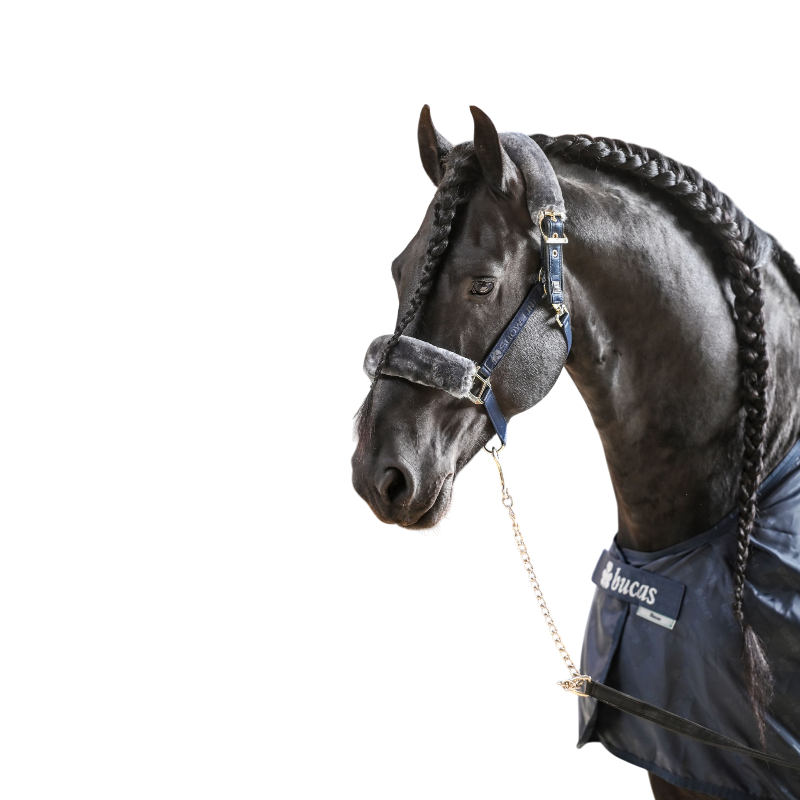 Bucas - Show-Line Half Fur Headcollar Navy/Grey