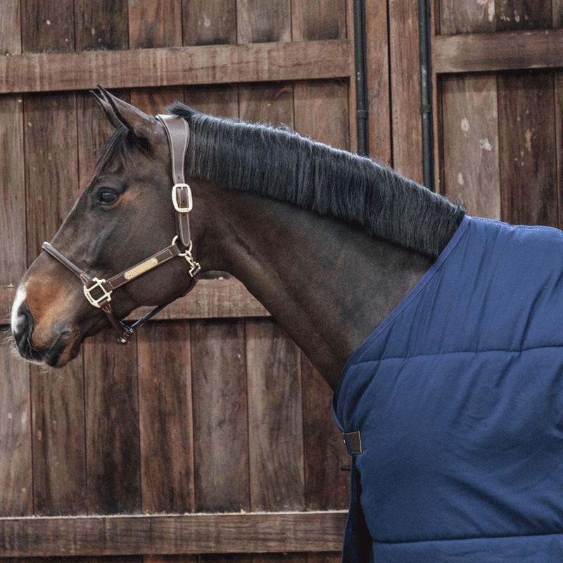 Kentucky Horsewear - Classic navy under-rug | - Ohlala