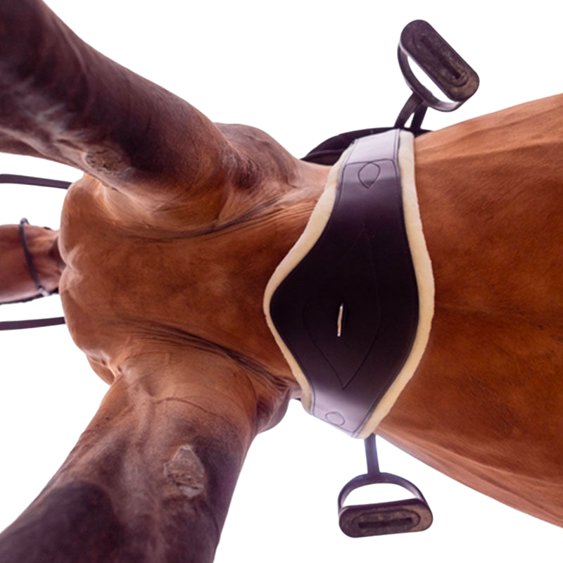 TdeT - Sangle anatomique en cuir mouton havane | - Ohlala