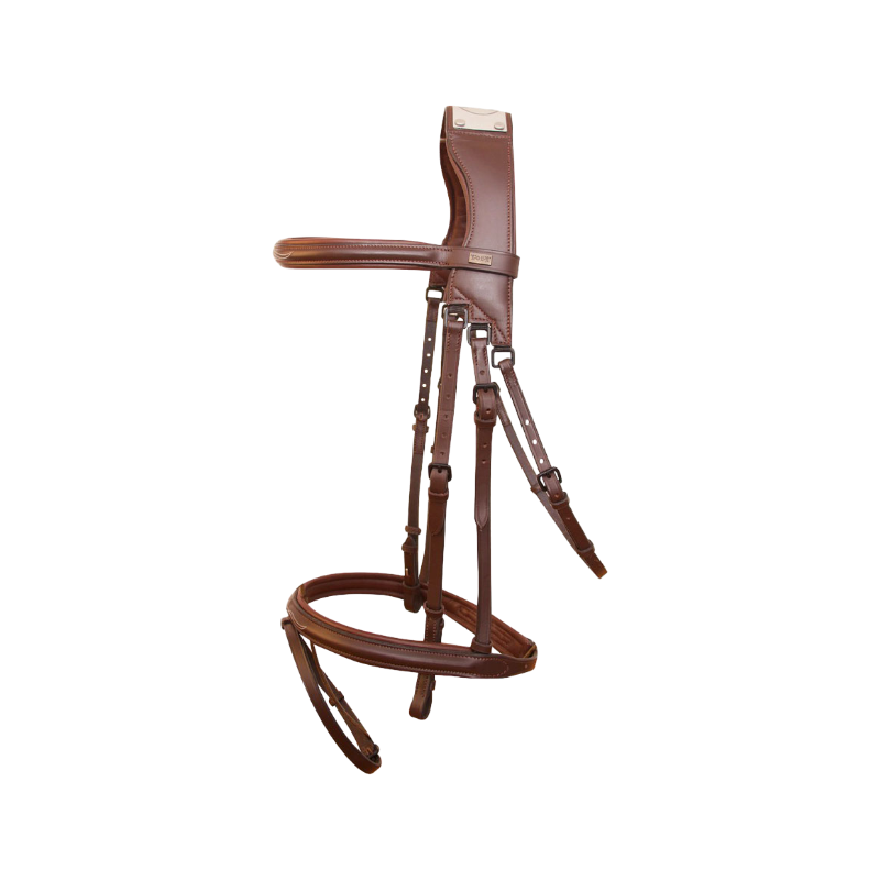 TdeT - Raphaël tobacco padded bridle | - Ohlala