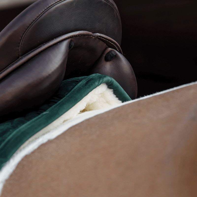 Kentucky Horsewear - Skin Friendly Velvet Dressage Pad forest green | - Ohlala