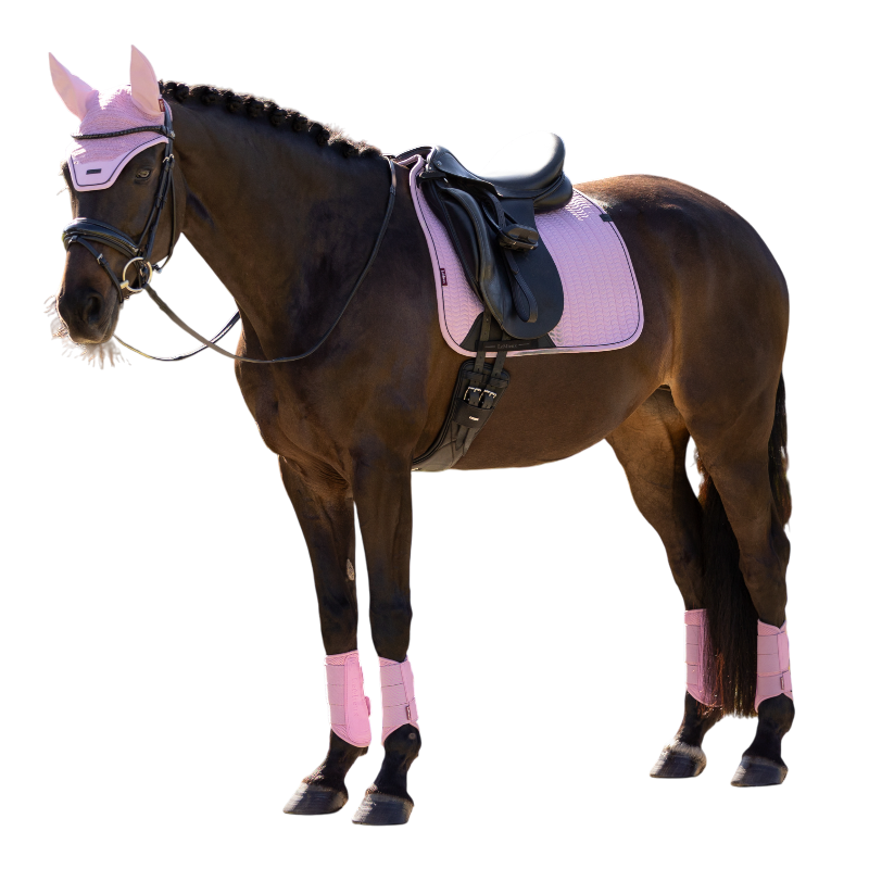 LeMieux - Essence dressage saddle pad fondant | - Ohlala