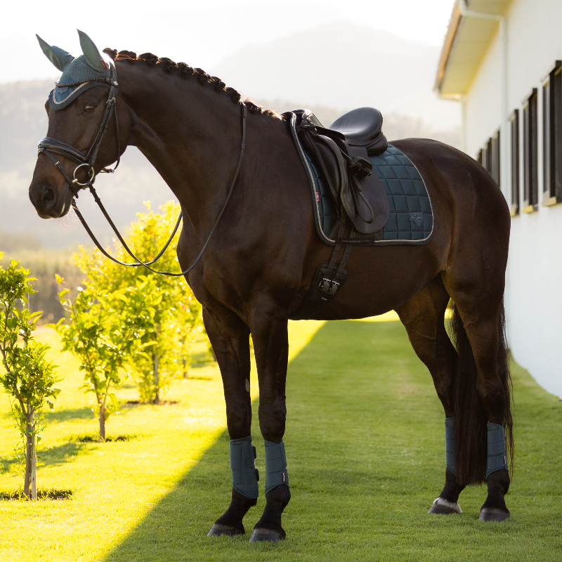 LeMieux - Loire Classic dressuurpad jungle | - Ohlala