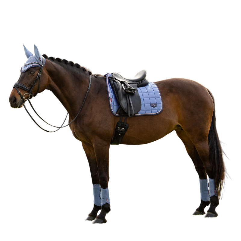 LeMieux - Czaprak ujeżdżeniowy Loire Classic powder blue | - Ohlala