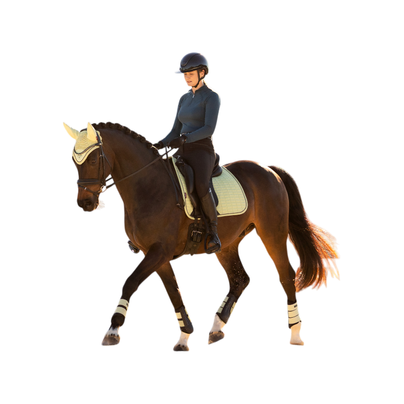 LeMieux - スエード馬場馬術サドルパッド マカロン | - Ohlala