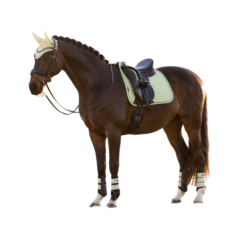 LeMieux - スエード馬場馬術サドルパッド マカロン | - Ohlala