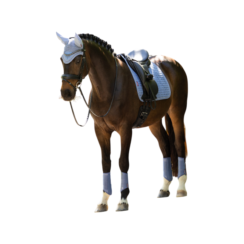 LeMieux - スエード馬場馬術サドルパッド パウダーブルー | - Ohlala