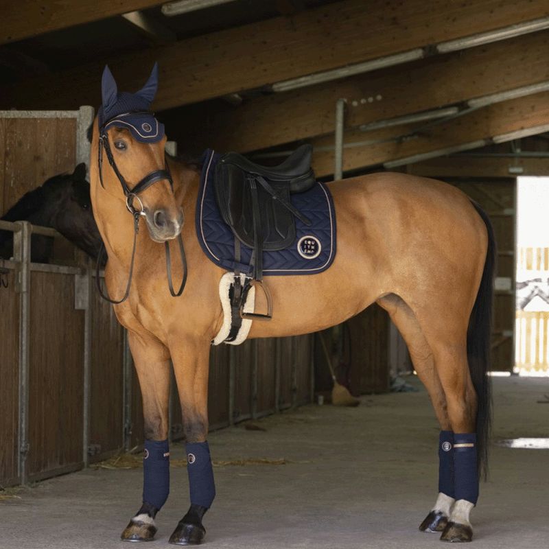 Equithème - Dressuurschabrak Skolstart marine | - Ohlala