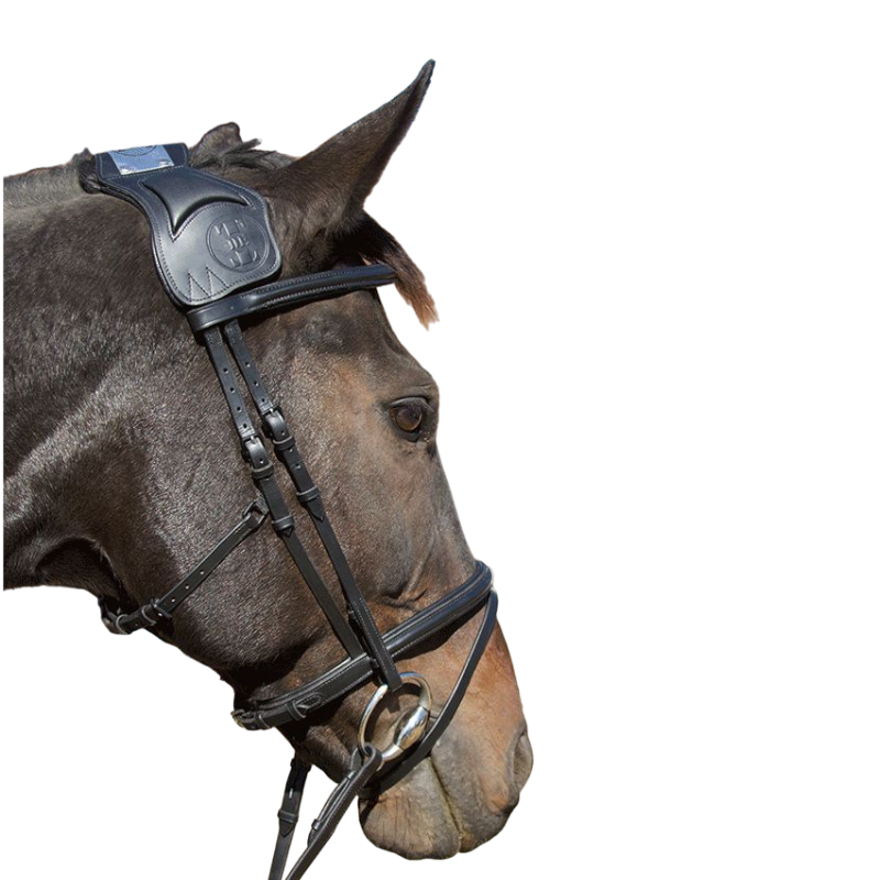TdeT - Bridon et rênes Vargas noir | - Ohlala