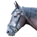 TdeT - Guardi bridle and reins with black softy leather anatomical headstall | - Ohlala
