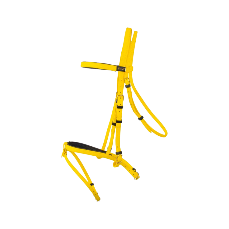 TdeT - Biotack® Bridle yellow | - Ohlala