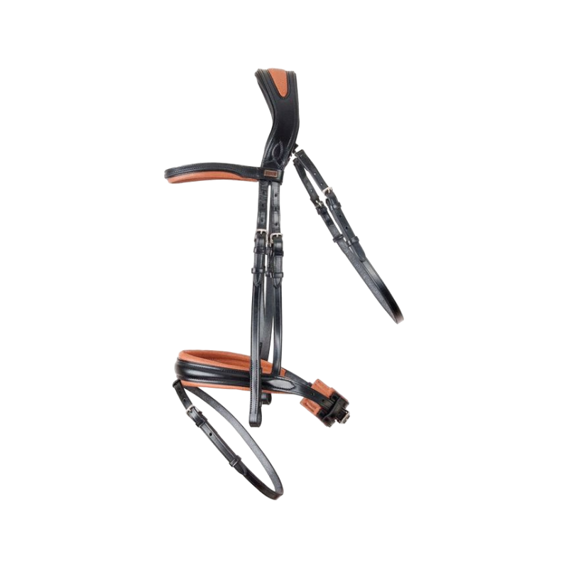 TdeT - Bridon et rênes têtière anatomique Matisse noir/tabac | - Ohlala