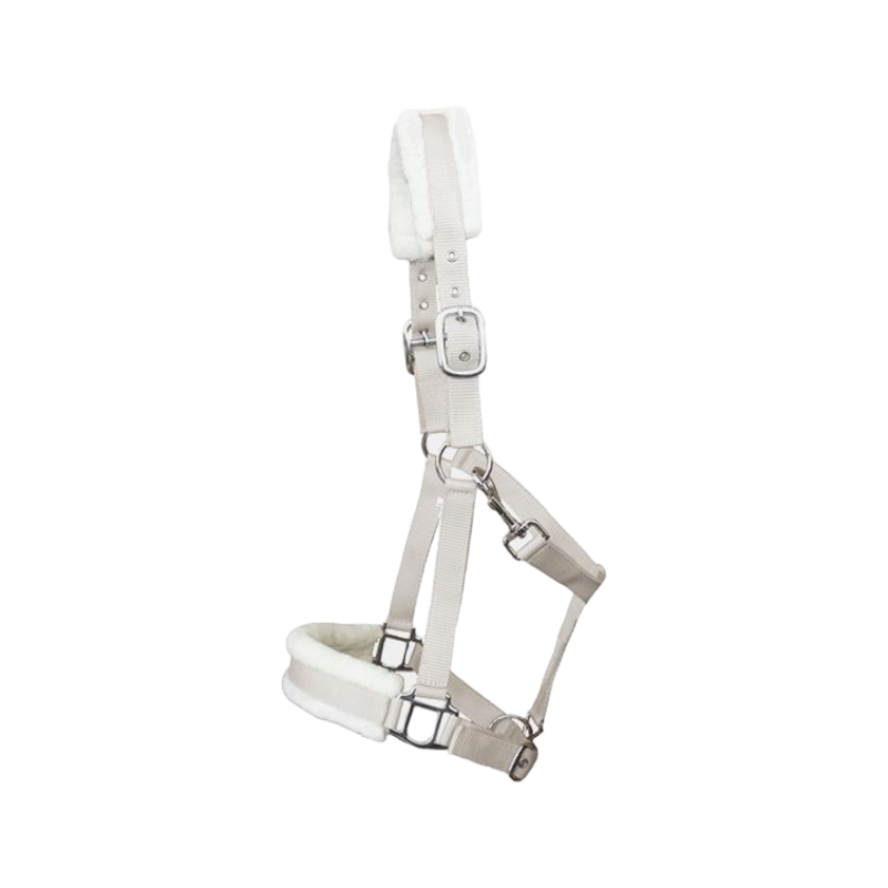 TdeT - Licol nylon et mouton beige | - Ohlala