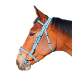 TdeT - Biotack® Sky Blue Headcollar | - Ohlala