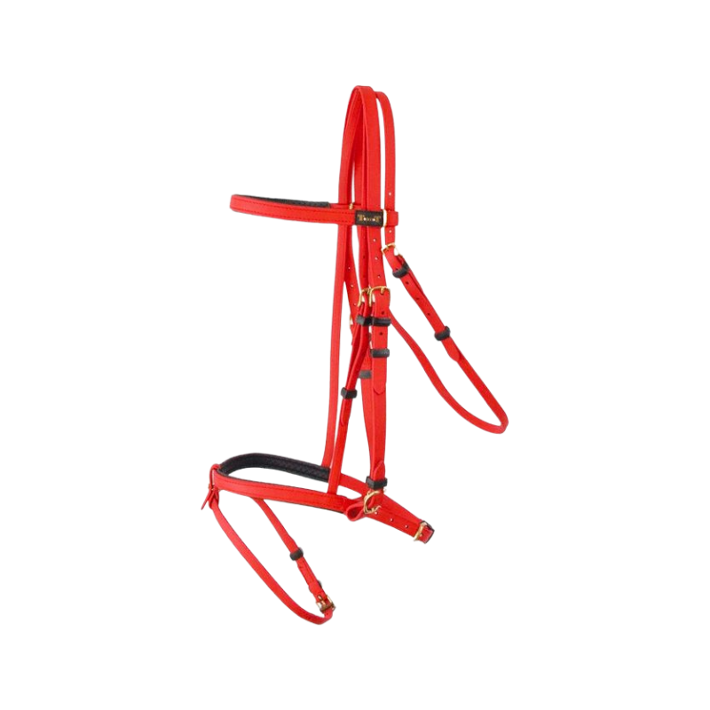 TdeT - Biotack® red Bridle | - Ohlala