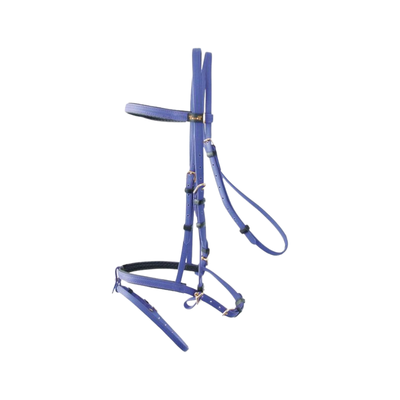 TdeT - Bridon Biotack® violet | - Ohlala