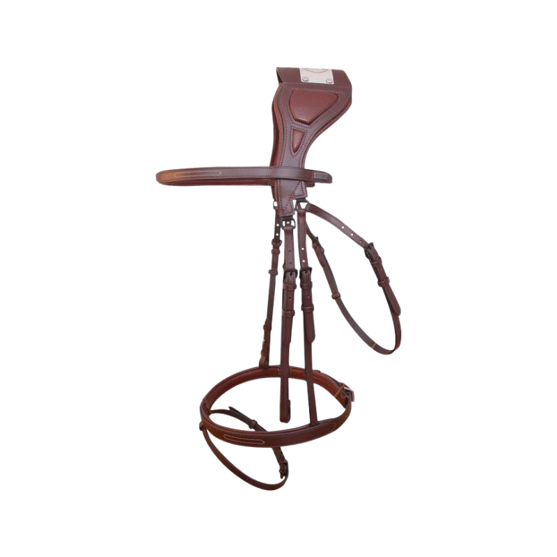 TdeT - Bridon Chagall havane foncé | - Ohlala