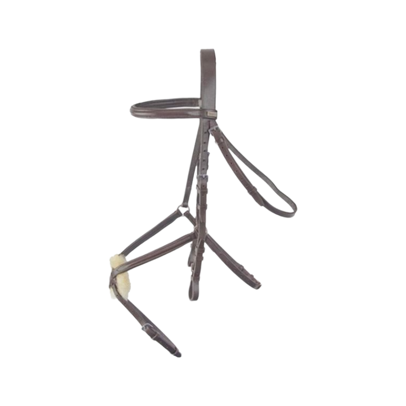 TdeT - Bridon avec rênes Sisley muserolle croisée havane foncé | - Ohlala