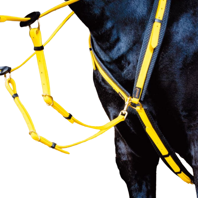 TdeT - Collier de chasse Biotack® jaune | - Ohlala