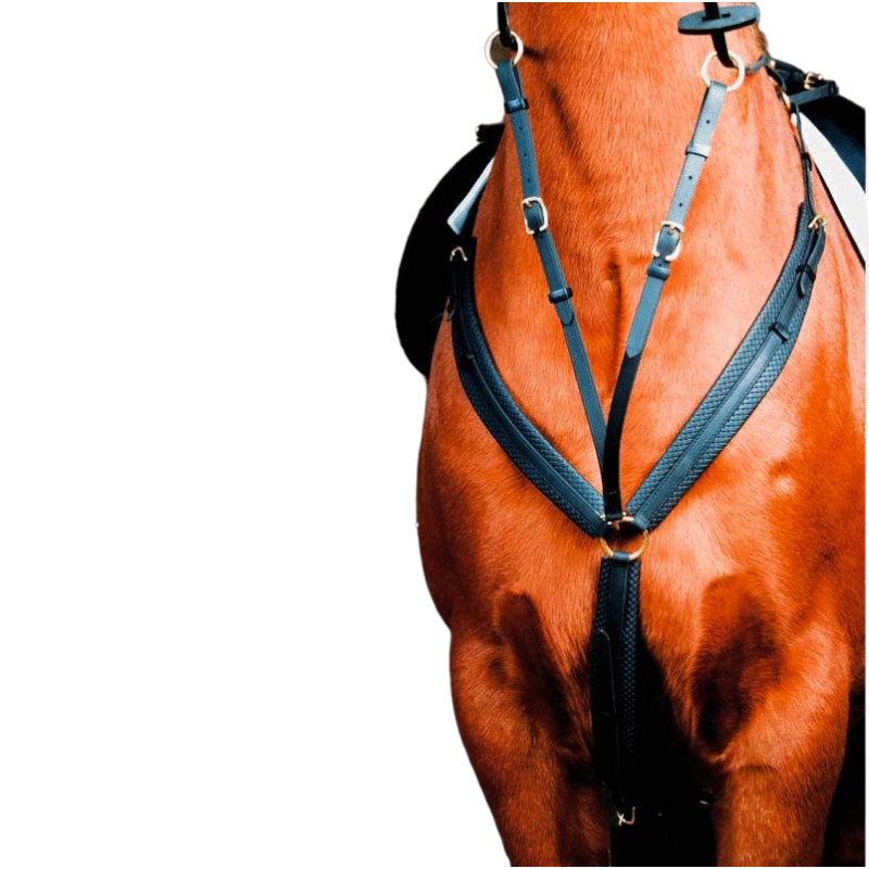 TdeT - Biotack® breastplate black | - Ohlala