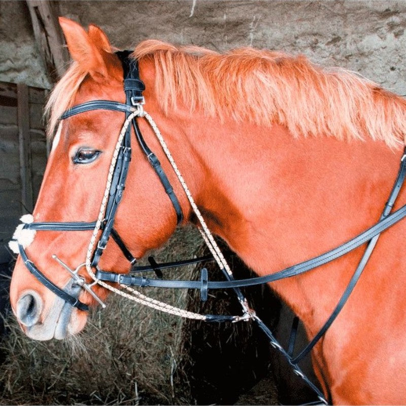 TdeT - Gogue TdeT noir | - Ohlala