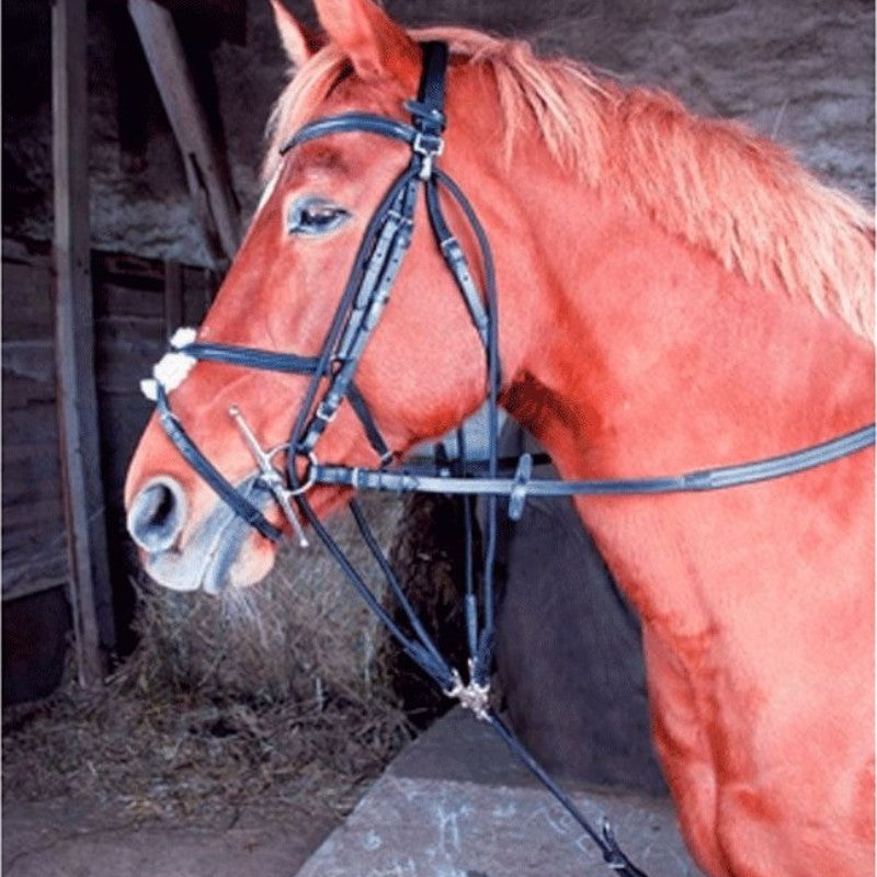 TdeT - Gogue classique noir | - Ohlala