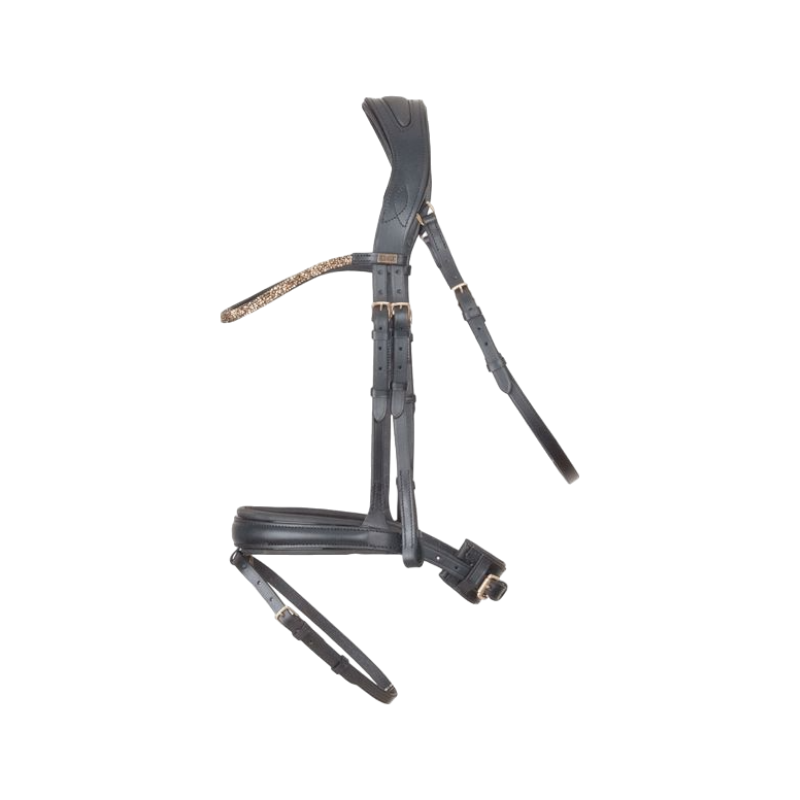 TdeT - Bridon et rênes têtière anatomique Hopper noir/dore | - Ohlala