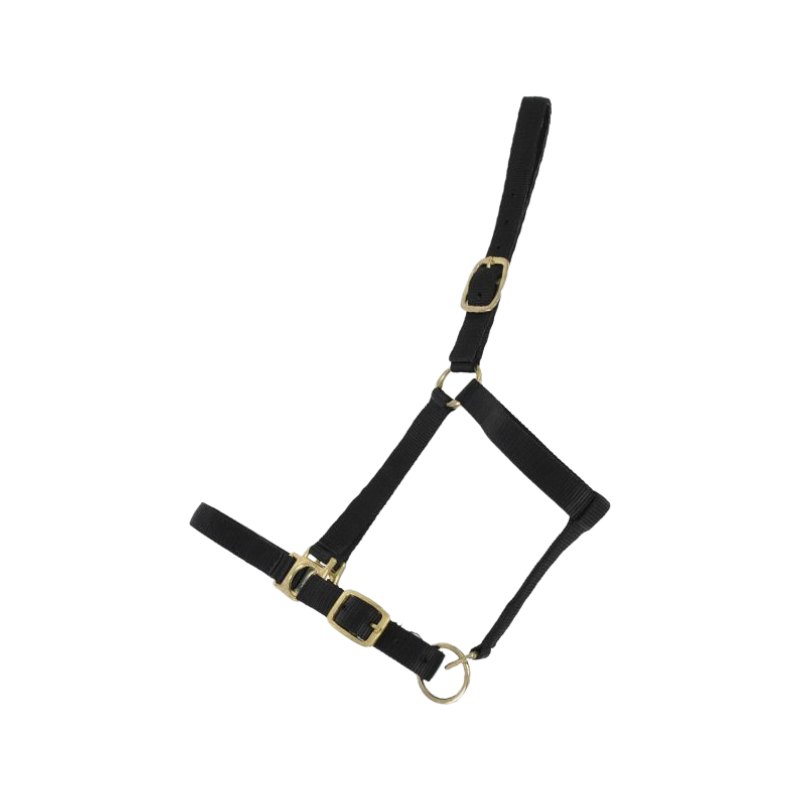 TdeT - Synthetic halter lined with suede black | - Ohlala