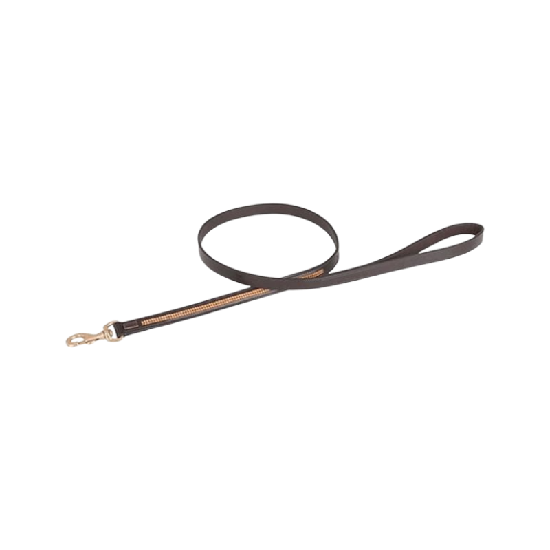 TdeT - Dark Havana/Yellow Rhinestone Dog Leash