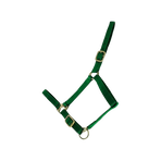 TdeT - Synthetic suede-lined headcollar dark green | - Ohlala