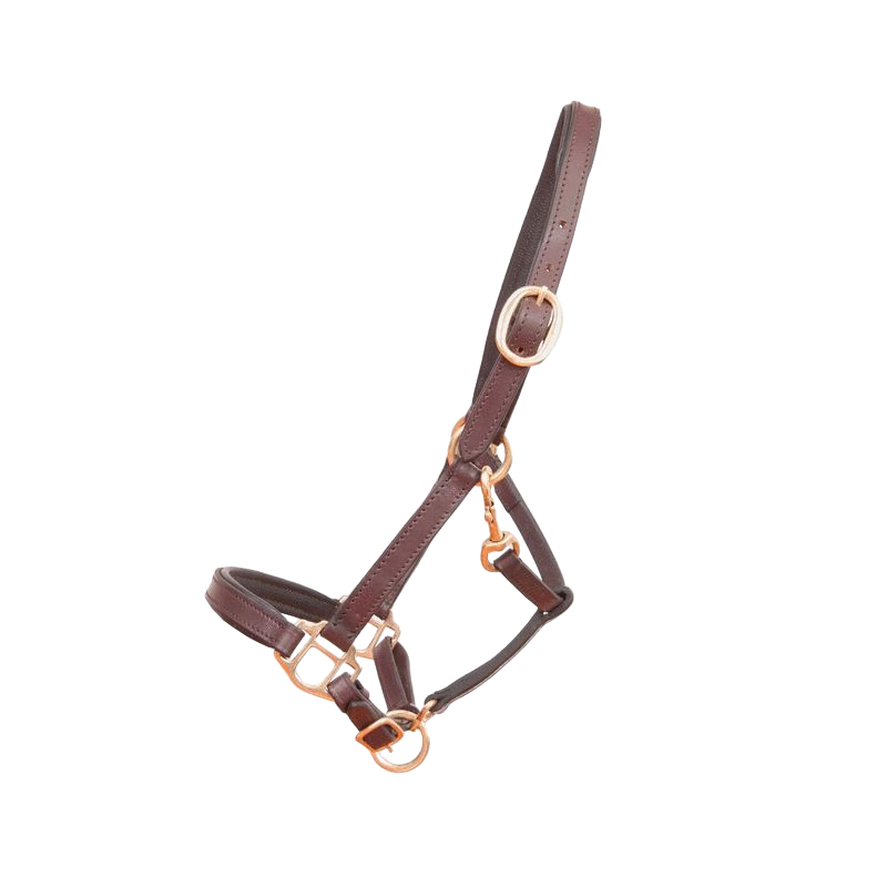 TdeT - Foal Leather Halter Dark Brown | - Ohlala