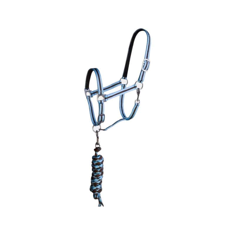 TdeT - Lined Synthetic Halter + Braided Lead Rope Dark Brown/Sky Blue | - Ohlala