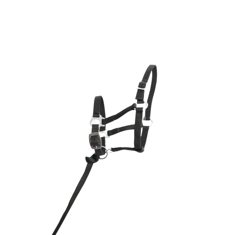 TdeT - Black synthetic foal halter