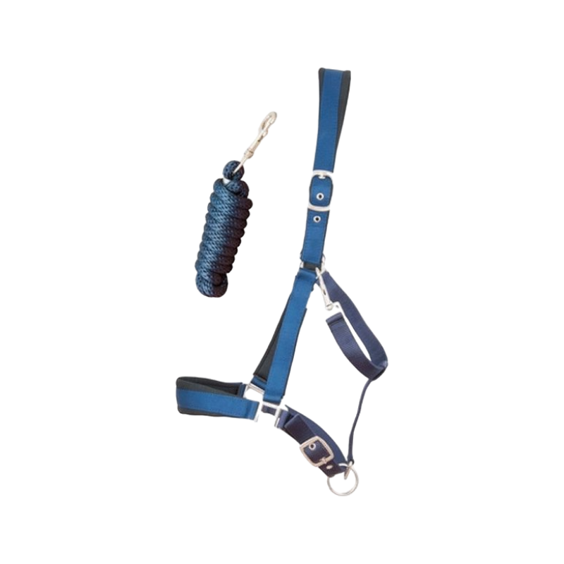 TdeT - Licol Satiné Doublé longe ronde assortie marine | - Ohlala