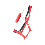 TdeT - Licol Satiné Doublé longe ronde assortie rouge | - Ohlala