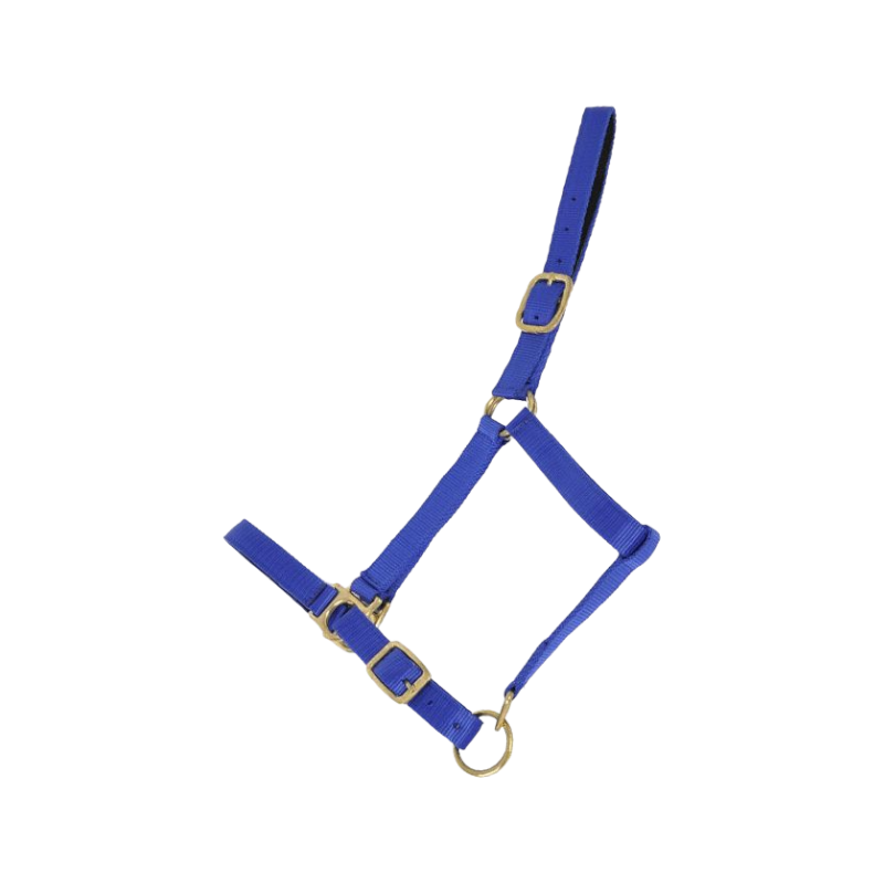 TdeT - Royal blue suede-lined synthetic headcollar | - Ohlala