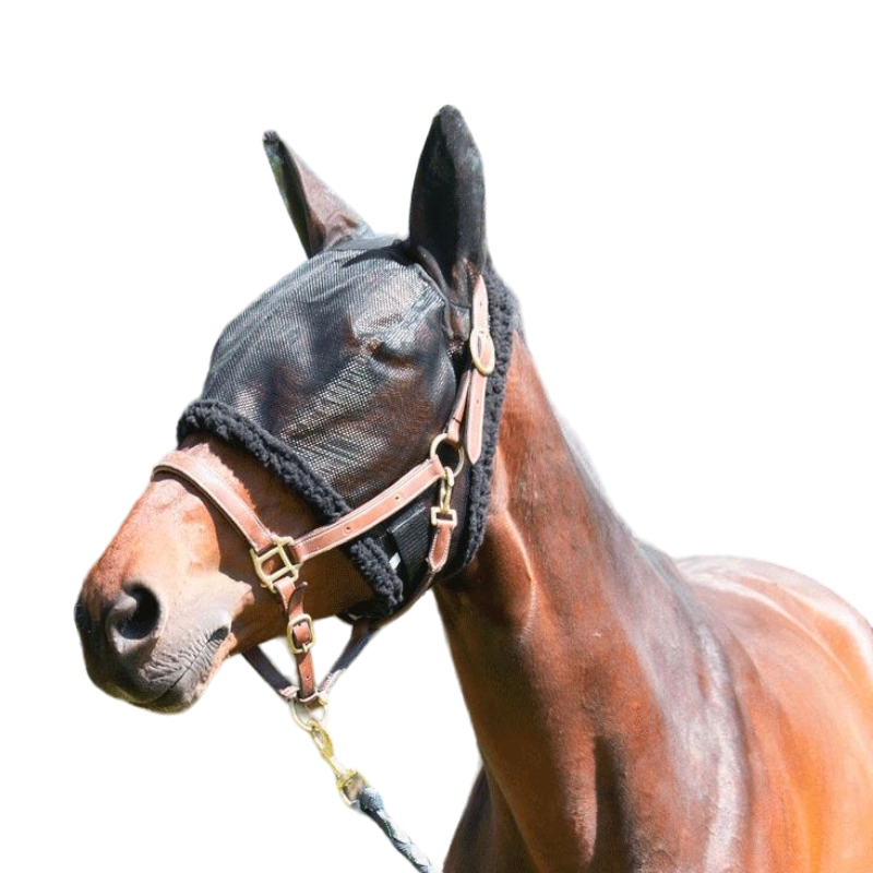 TdeT - Masque anti-mouches noir | - Ohlala