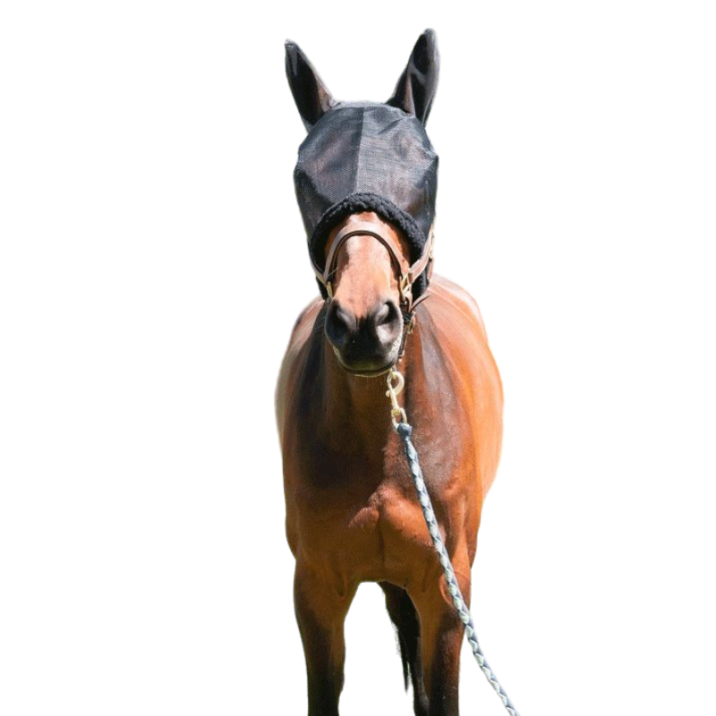 TdeT - Masque anti-mouches noir | - Ohlala