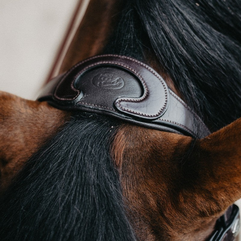 Jump'In - Têtière + rênes Evolution havane | - Ohlala