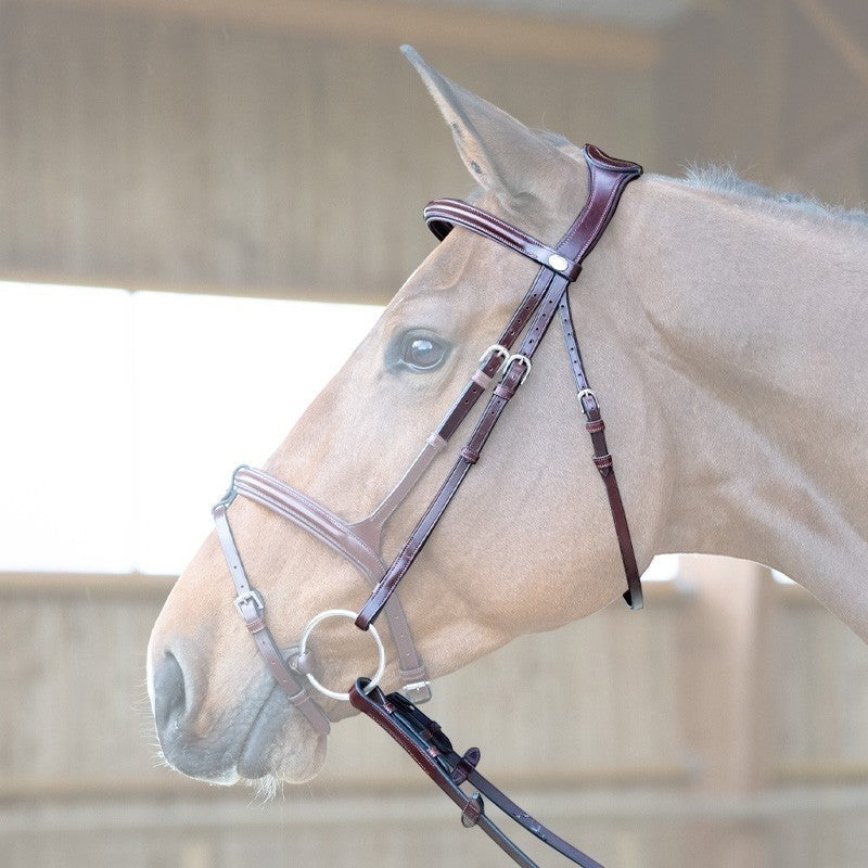 Jump'In - Evolution Hazelnut Bridle + Reins | - Ohlala