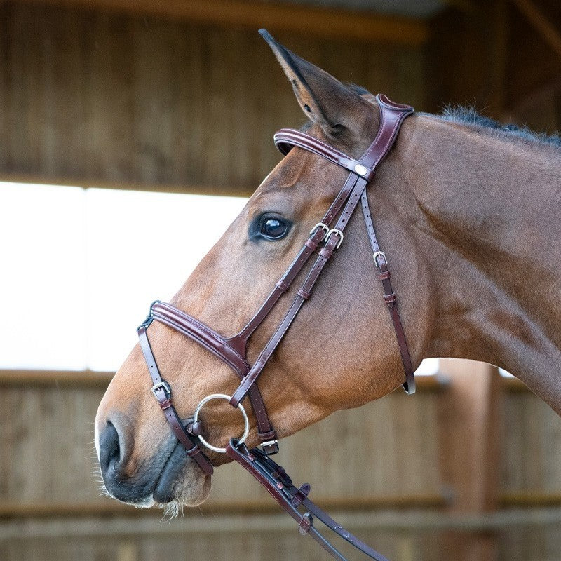 Jump'In - Headstall + reins Evolution hazelnut | - Ohlala